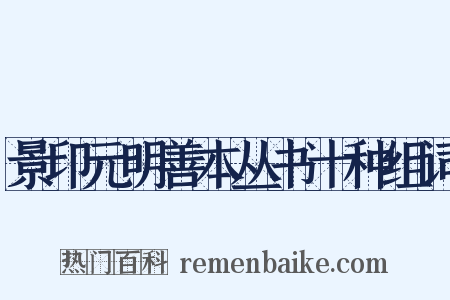 景印元明善本丛书十种组词是什么意思的图片